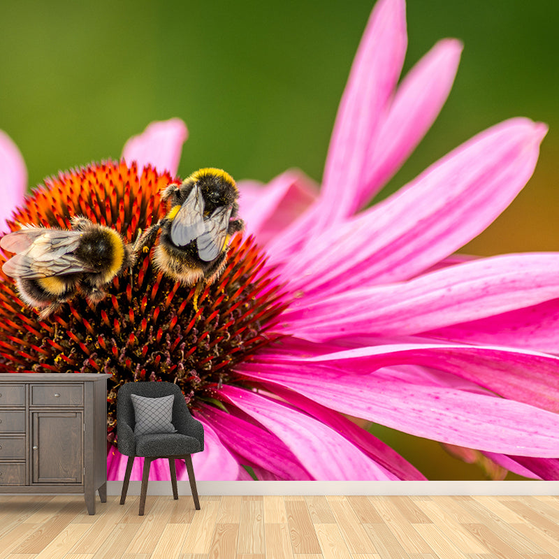 Customized Contemporary Coneflower Mural Mildew Resistant for Sitting Room Bedroom