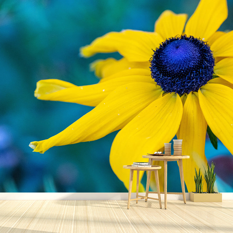 Customized Contemporary Coneflower Mural Mildew Resistant for Sitting Room Bedroom