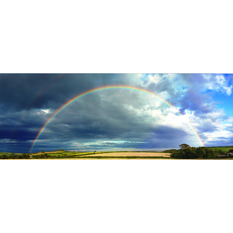 Contemporary Photography Rainbow Murals Wallpaper Moisture Resistant for Bedroom