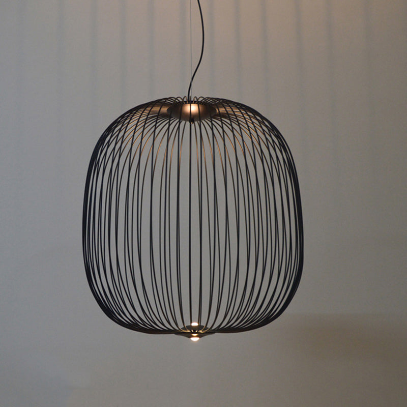 Simple Metal Hanging Light, Globe and Cage Shade 2-Light Hanging Lighting