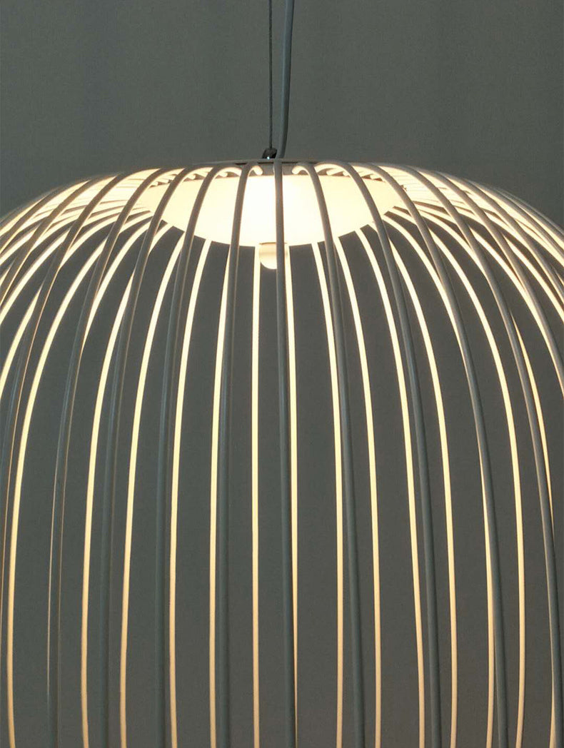 Simple Metal Hanging Light, Globe and Cage Shade 2-Light Hanging Lighting