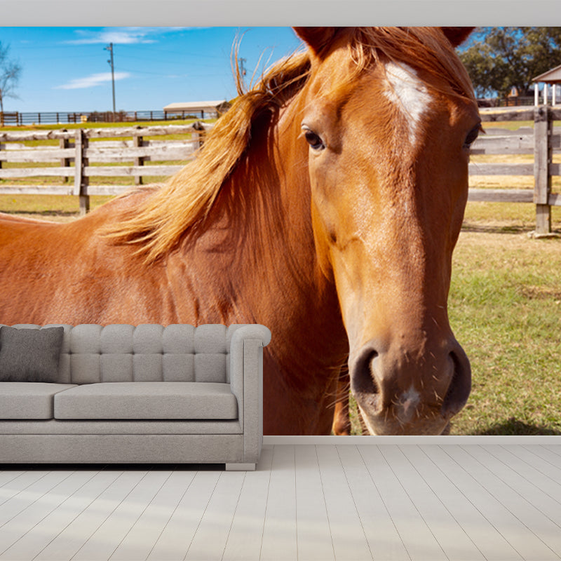 Horse Mural Contemporary Mildew Resistant Wall Covering for Living Room