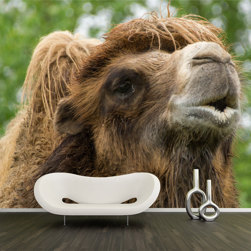 Camel Mural Wallpaper for Home Decor Living Room Bedroom, Made to Measure