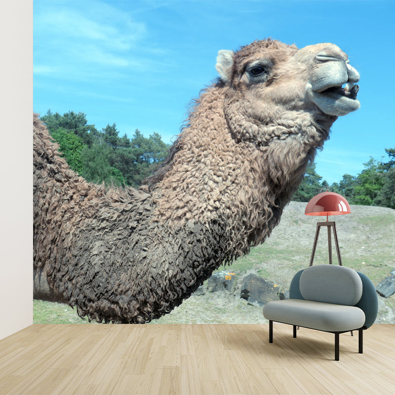 Camel Mural Wallpaper for Home Decor Living Room Bedroom, Made to Measure