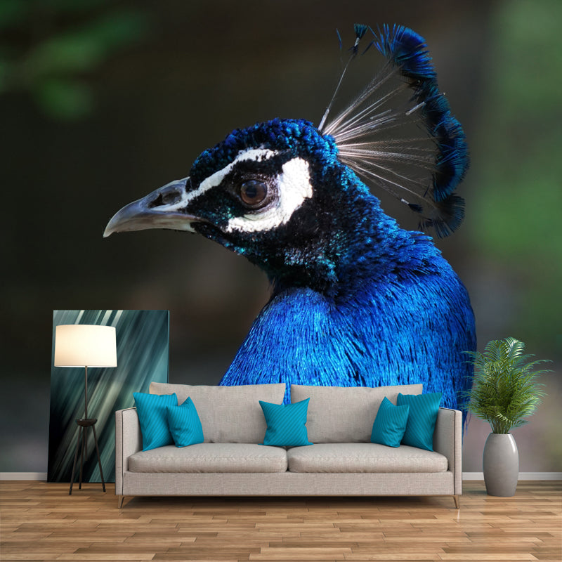 Tropical Peacock Mural Decal for Sitting Room Water Resistant, Made to Measure