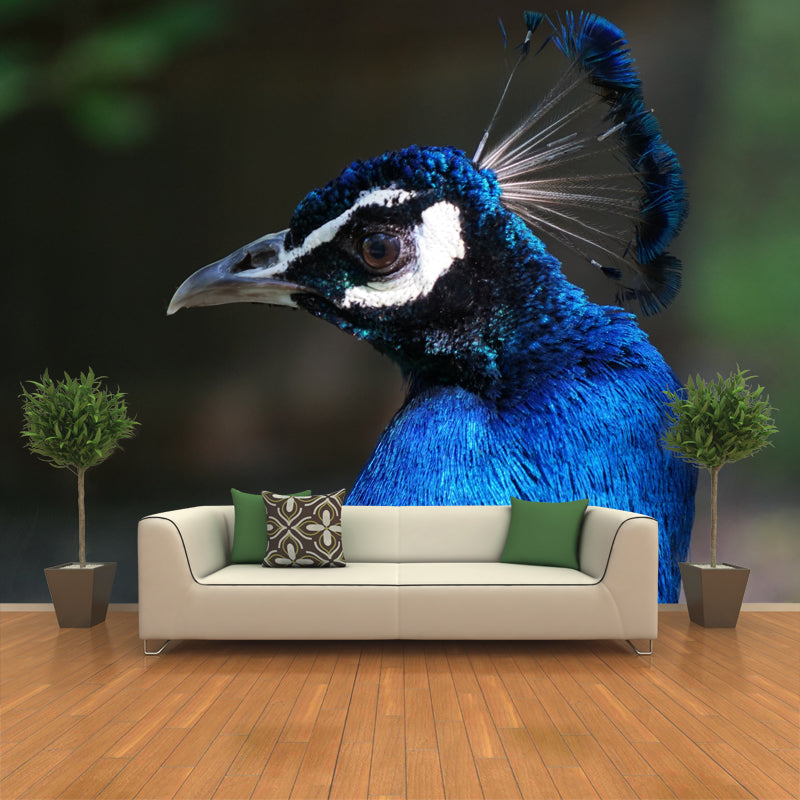 Tropical Peacock Mural Decal for Sitting Room Water Resistant, Made to Measure