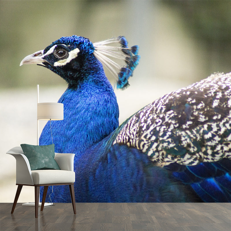 Tropical Peacock Mural Decal for Sitting Room Water Resistant, Made to Measure