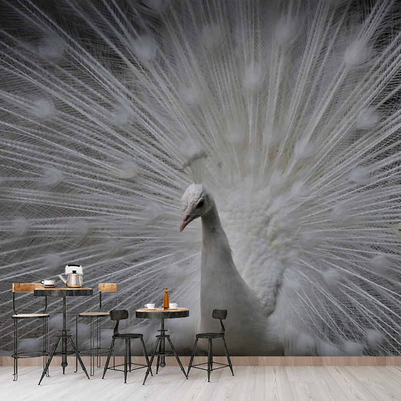 Tropical Peacock Mural Decal for Sitting Room Water Resistant, Made to Measure