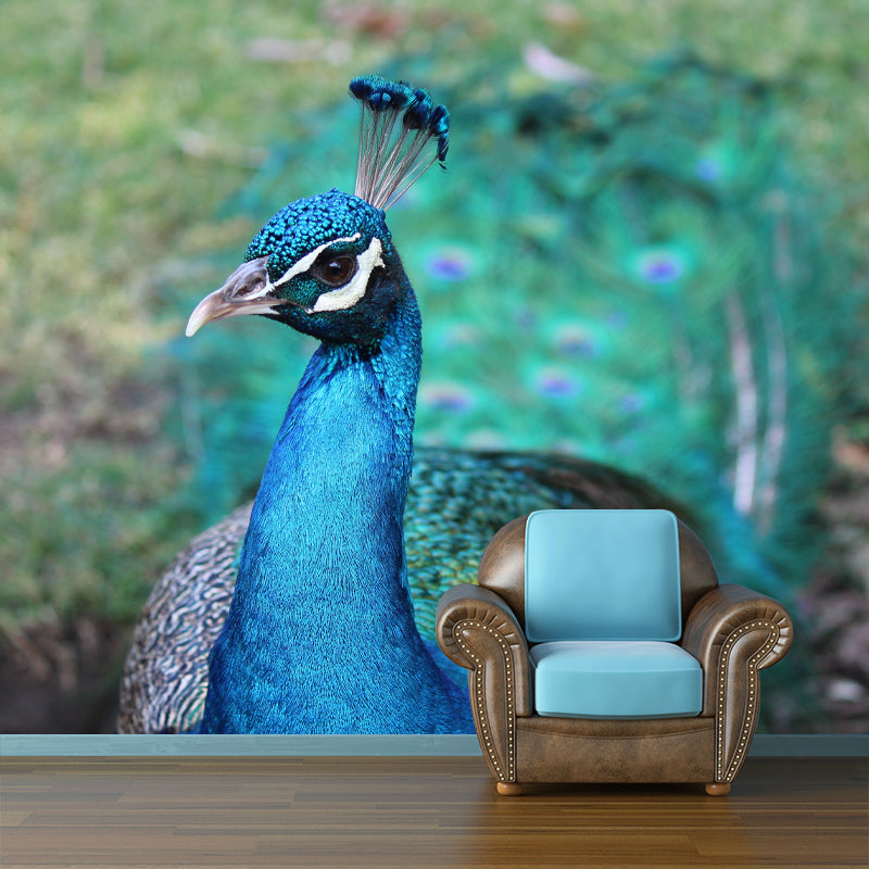 Tropical Peacock Mural Decal for Sitting Room Water Resistant, Made to Measure