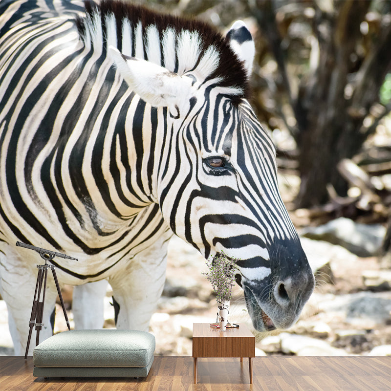 Zebra Wall Decal Animal Home Art Interior Decoration, Moisture Resistant