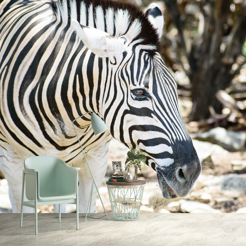 Zebra Wall Decal Animal Home Art Interior Decoration, Moisture Resistant