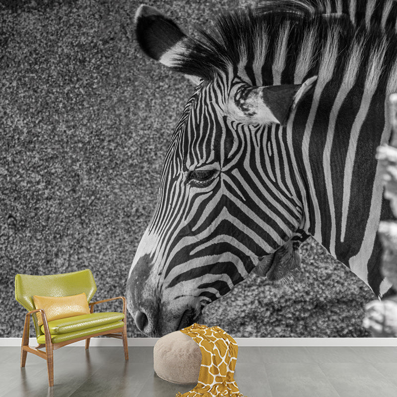 Zebra Wall Decal Animal Home Art Interior Decoration, Moisture Resistant