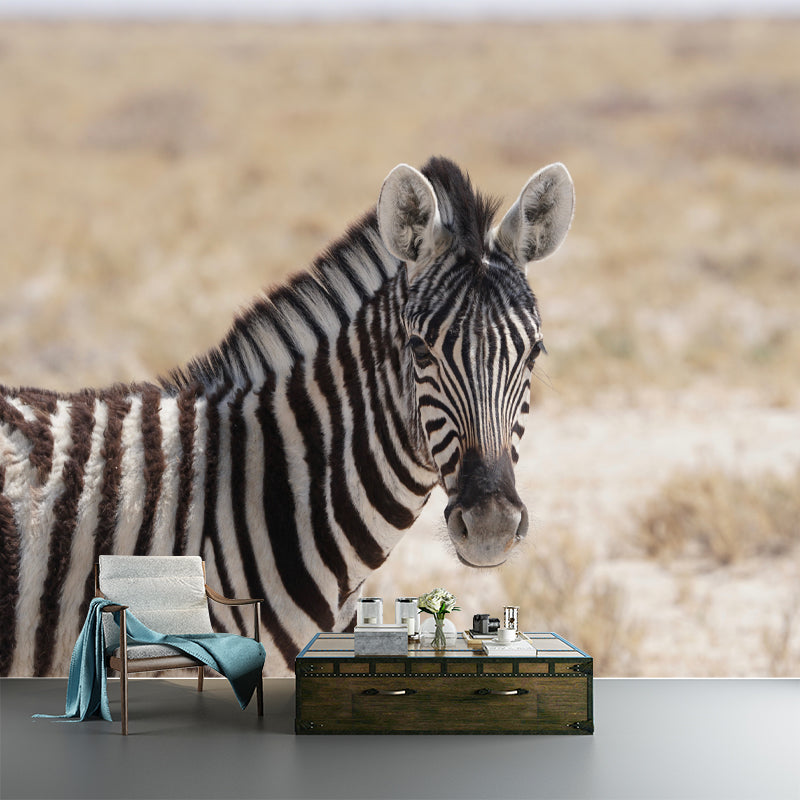 Zebra Wall Decal Animal Home Art Interior Decoration, Moisture Resistant