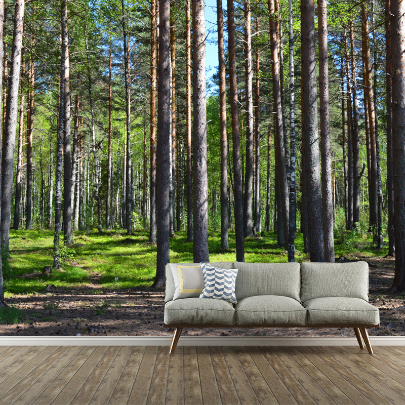 Modern Forest Mural Decal Water Resistant Wall Covering for Home Interior Decoration