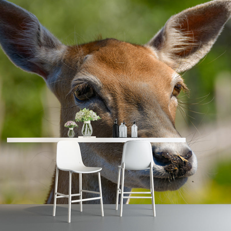 Deer Mural Decal Moisture Resistant Wall Covering for Home Living Room