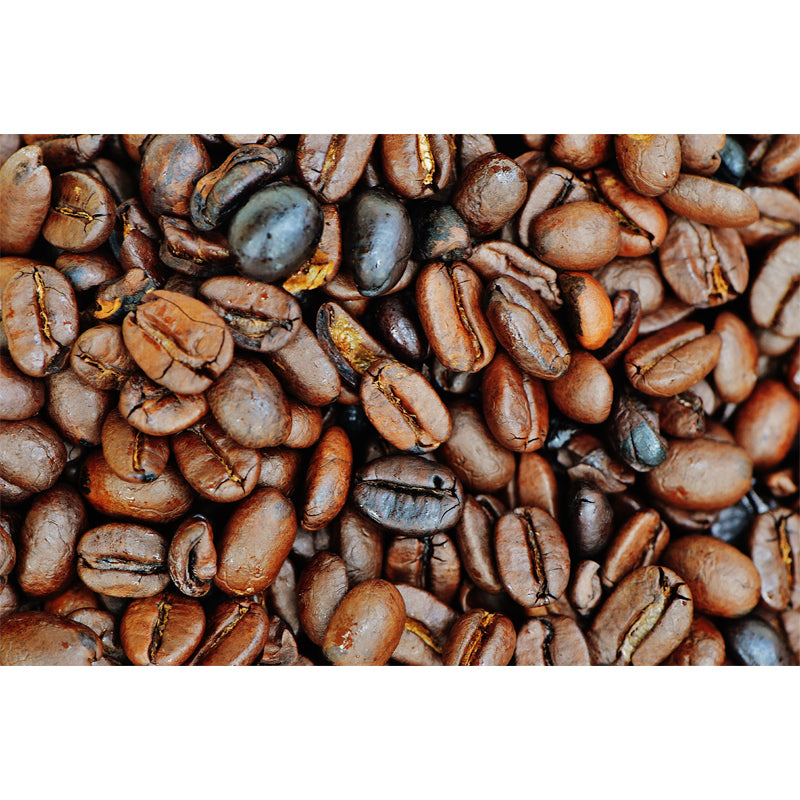 Simplicity Coffee Beans Mural Decal Modern Decorative, Moisture Resistant