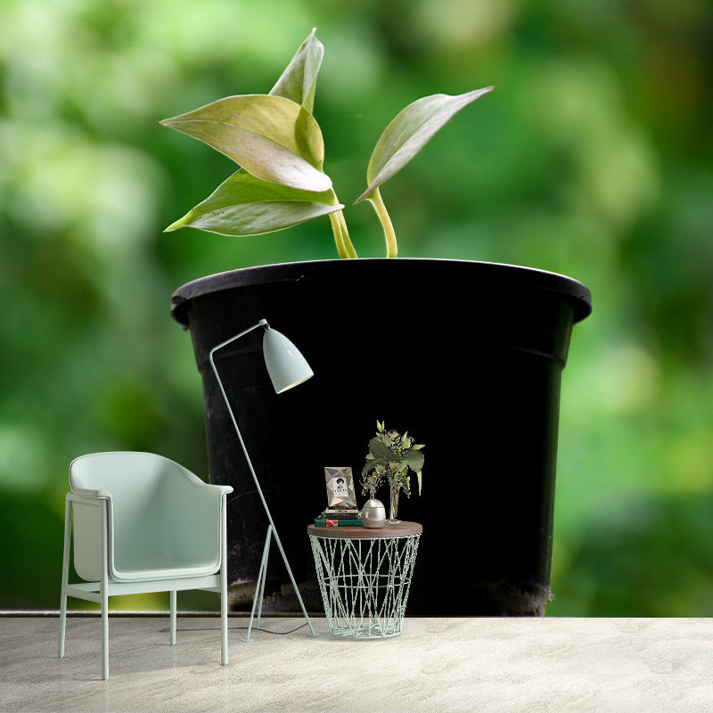 Potted Plants Indoor Decorations Wall Mural for Sitting Room, Moisture Resistant
