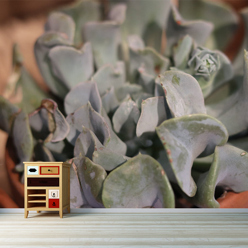 Potted Plants Indoor Decorations Wall Mural for Sitting Room, Moisture Resistant