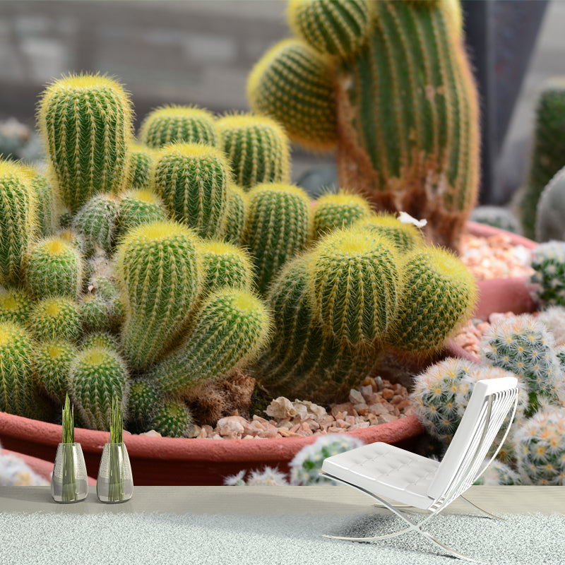 Green Cactus Wall Mural Decal Modern Living Room Wall Decor, Waterproof