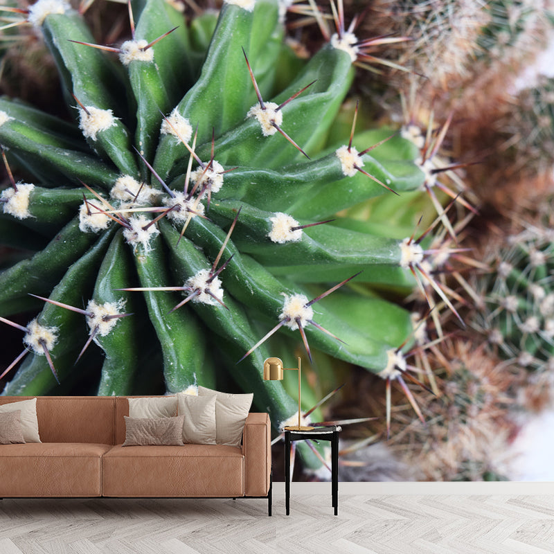 Green Cactus Wall Mural Decal Modern Living Room Wall Decor, Waterproof