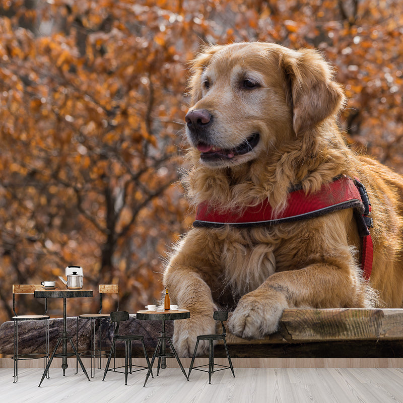 Cute Dog Mural Wallpaper Photography Mildew Resistant for Living Room Bedroom