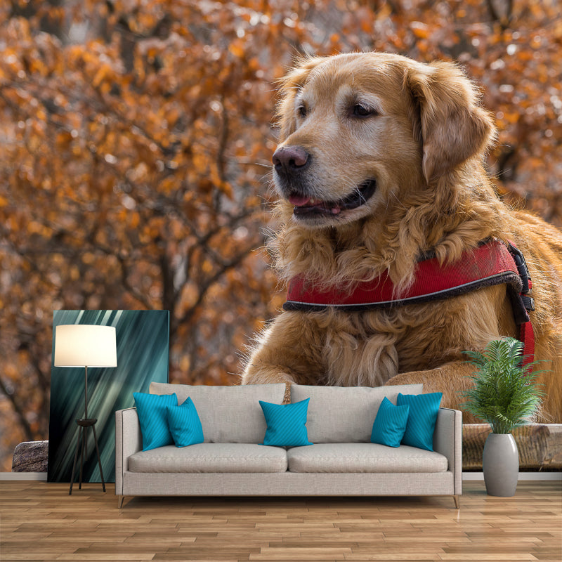 Cute Dog Mural Wallpaper Photography Mildew Resistant for Living Room Bedroom