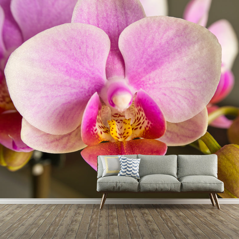 Orchid Contemporary Mural Decal Sitting Room Moisture Resistant Wall Decor