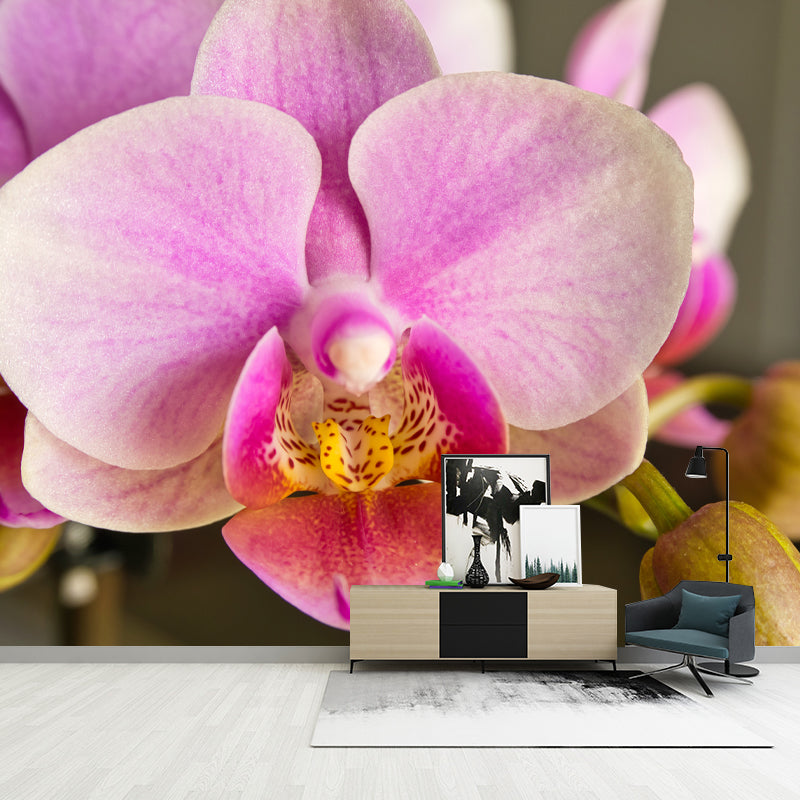 Orchid Contemporary Mural Decal Sitting Room Moisture Resistant Wall Decor