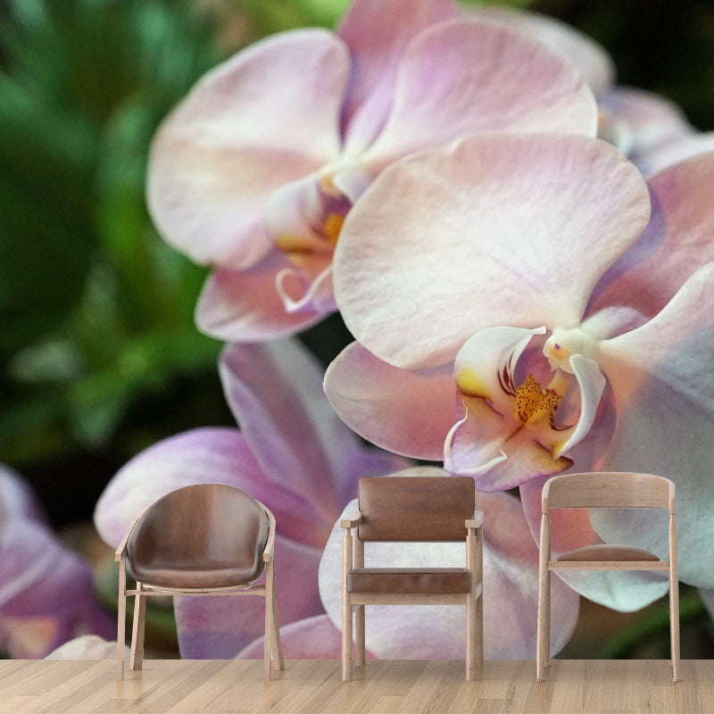 Orchid Contemporary Mural Decal Sitting Room Moisture Resistant Wall Decor