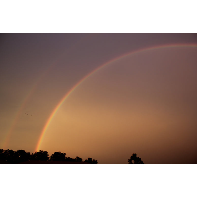 Sky with Rainbow Mural Wallpaper Waterproof Wall Decor for Bedroom, Customized Size