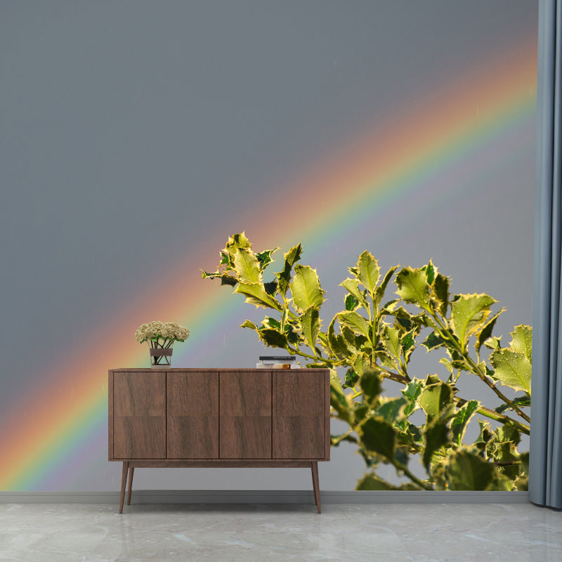 Sky with Rainbow Mural Wallpaper Waterproof Wall Decor for Bedroom, Customized Size