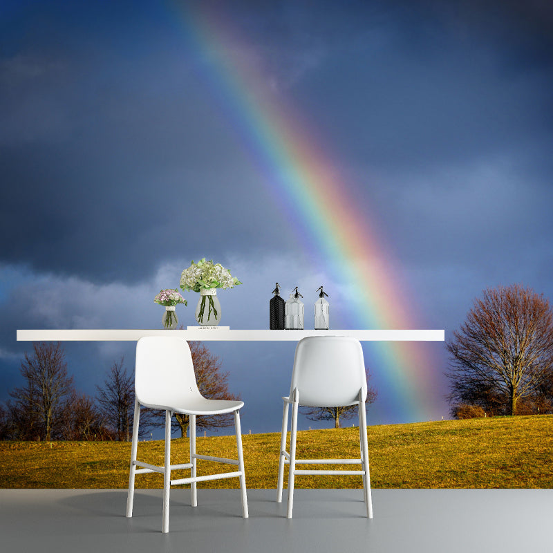 Sky with Rainbow Mural Wallpaper House Wall Covering, Custom Size Available