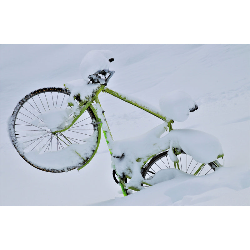 Bike Mural Decal Customized Contemporary Transportation Wall Covering for Living Room