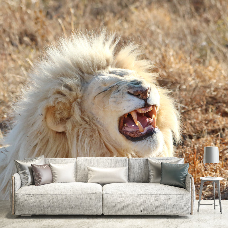 African Lion Animal Mural Wallpaper for Living Room Bedroom, Made to Measure