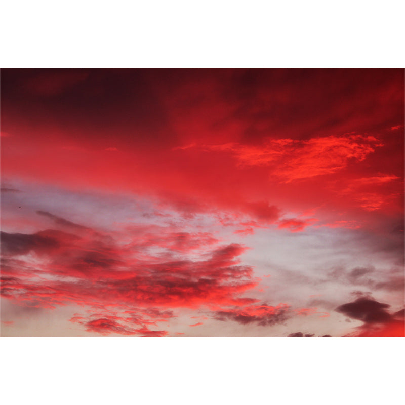 Beautiful Sunset Mural Wallpaper Stain Resistant Wall Covering for Home Decor