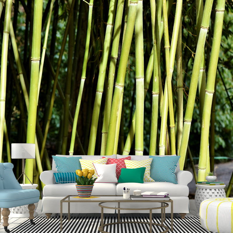 Bamboo Plant Mural Wallpaper for Sleeping Room Waterproofing, Made to Measure