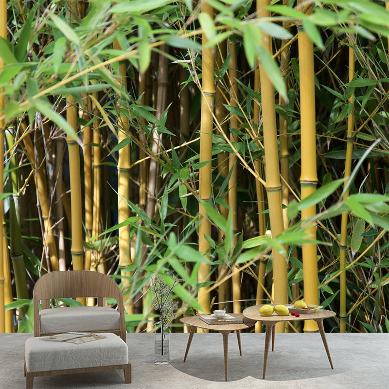 Bamboo Plant Mural Wallpaper for Sleeping Room Waterproofing, Made to Measure