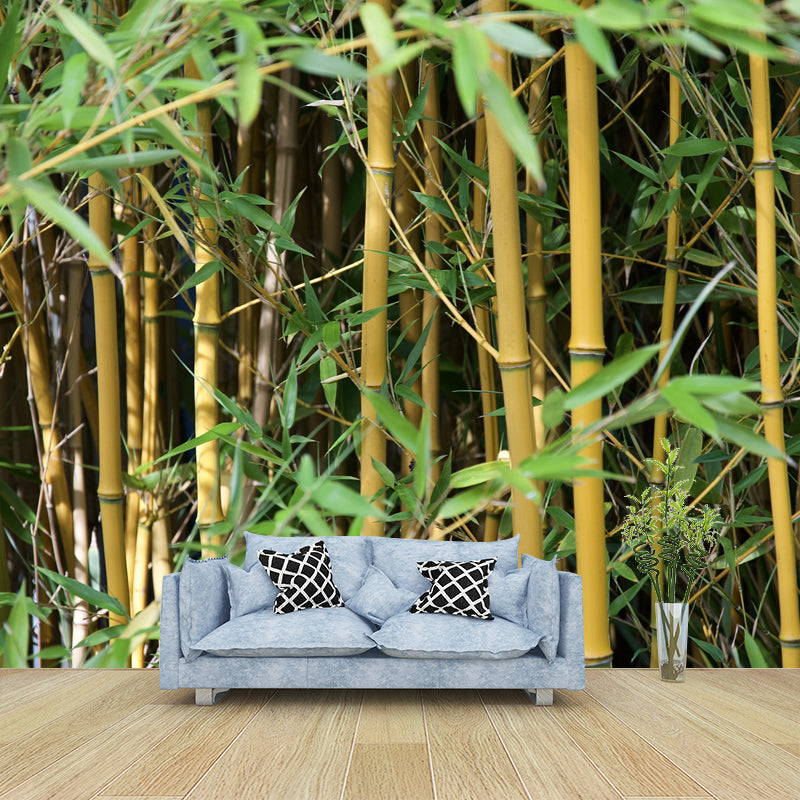 Bamboo Plant Mural Wallpaper for Sleeping Room Waterproofing, Made to Measure