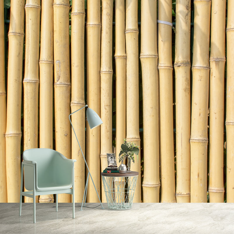 Bamboo Plant Mural Wallpaper for Sleeping Room Waterproofing, Made to Measure