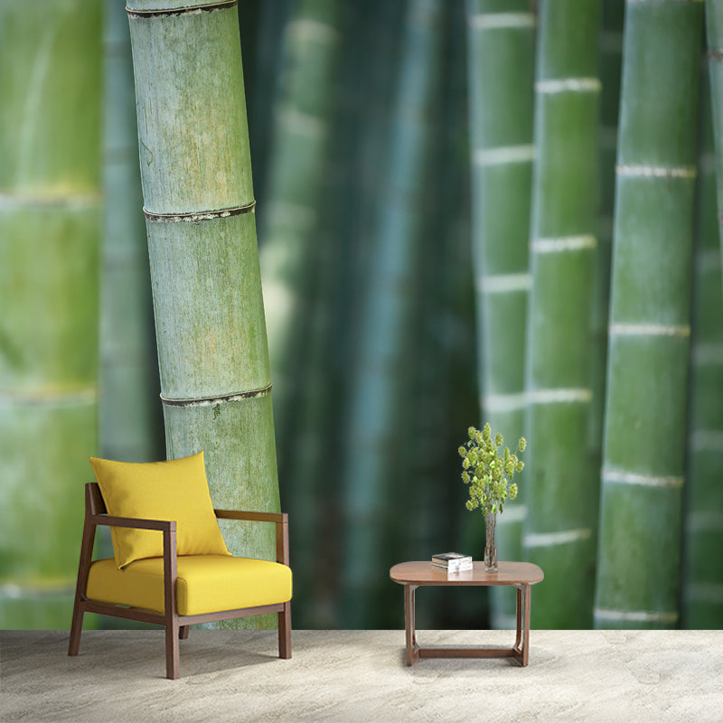 Bamboo Plant Mural for Home Decor Customized Wall Covering, Made to Measure