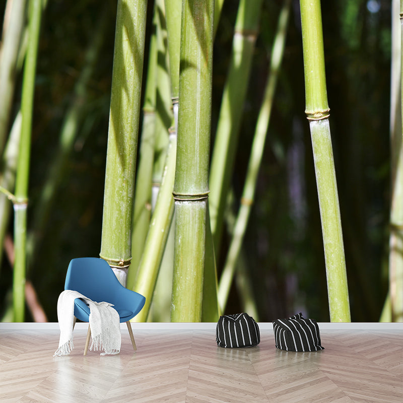 Bamboo Plant Mural for Home Decor Customized Wall Covering, Made to Measure