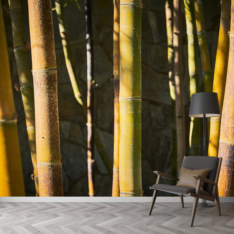 Bamboo Plant Mural for Home Decor Customized Wall Covering, Made to Measure