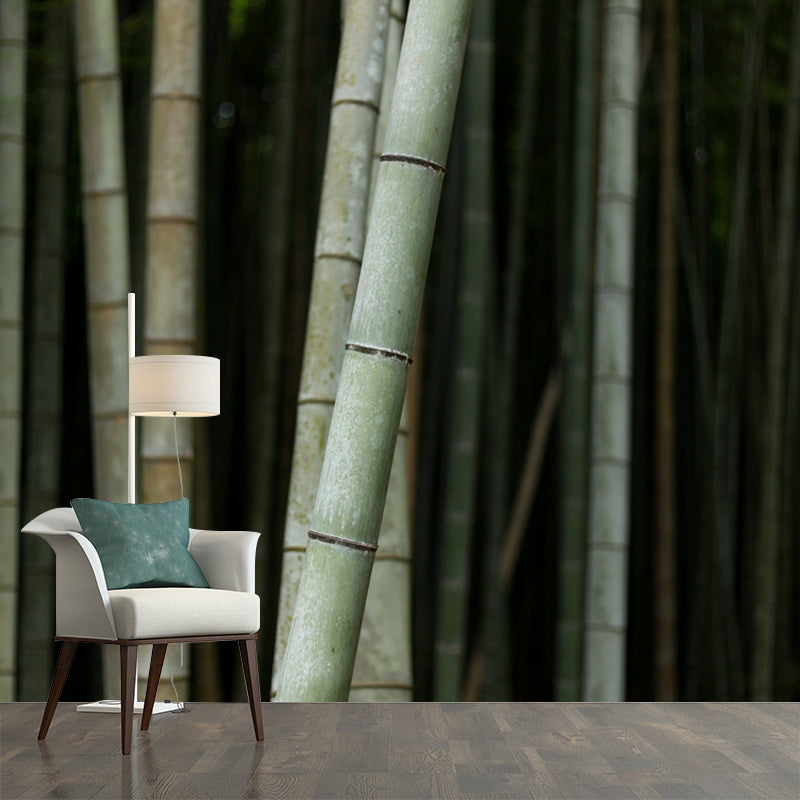 Bamboo Plant Mural for Home Decor Customized Wall Covering, Made to Measure