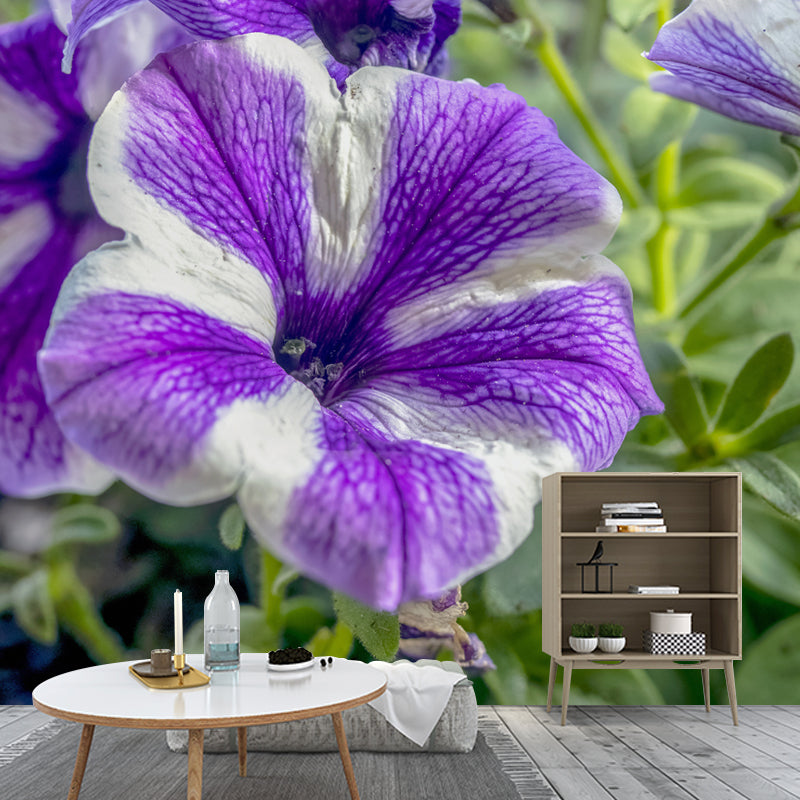 Morning Glory Mural Wallpaper Contemporary Bathroom Wall Covering, Waterproofing