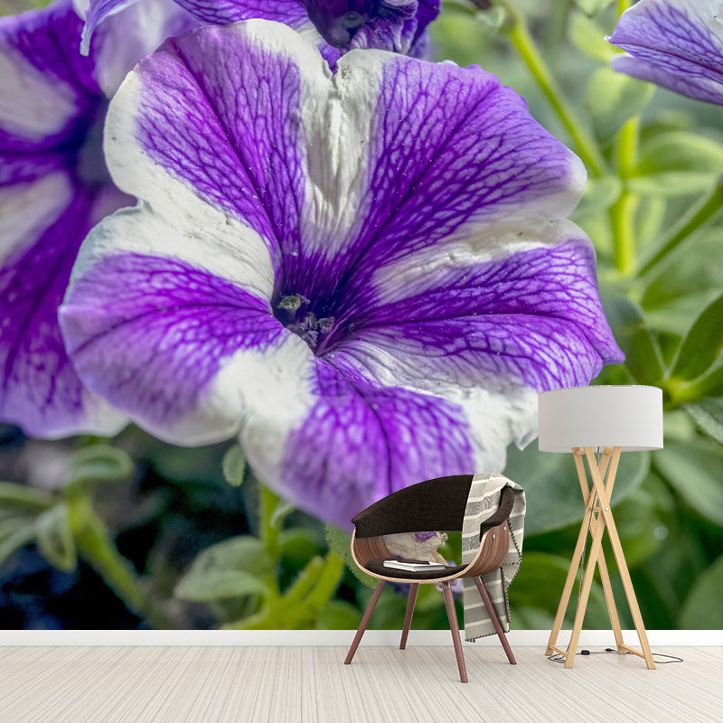 Morning Glory Mural Wallpaper Contemporary Bathroom Wall Covering, Waterproofing