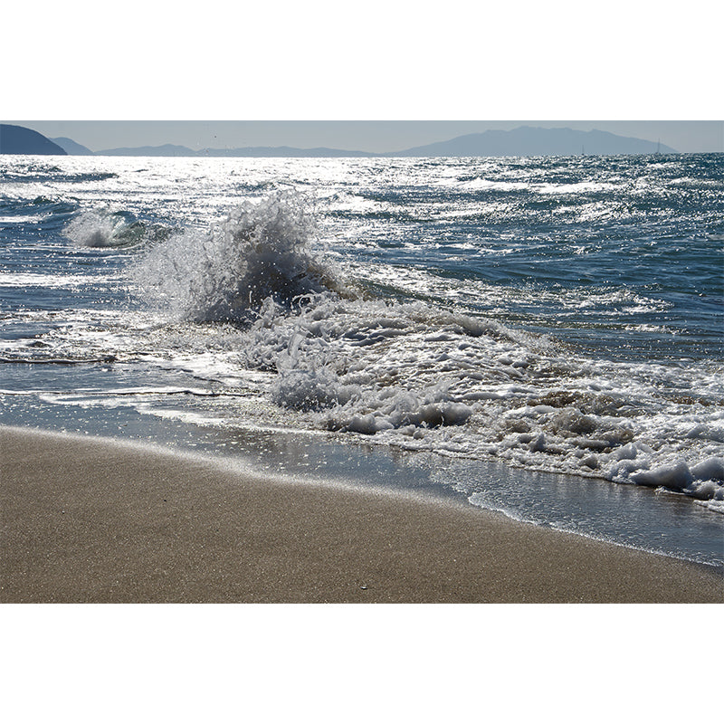 Sea Shore Mural Stain Resistant Meeting Room Wall Decor, Made to Measure