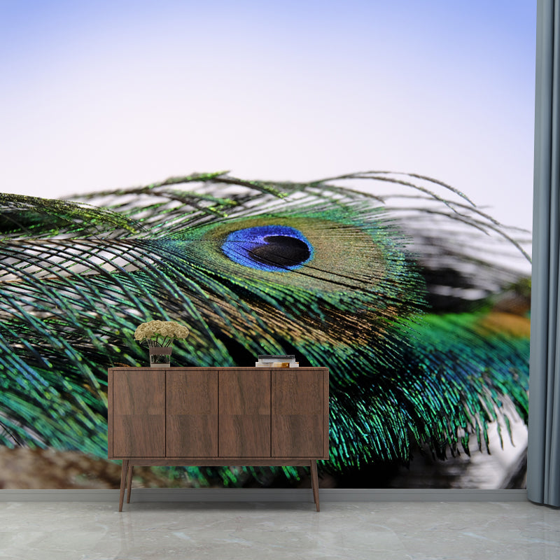 Peacock Feather Waterproof Sitting Room Customised Wall Covering, Made to Measure