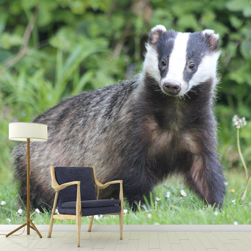 Badger Contemporary Wall Mural Modernist Wall Covering for Bedroom Decor