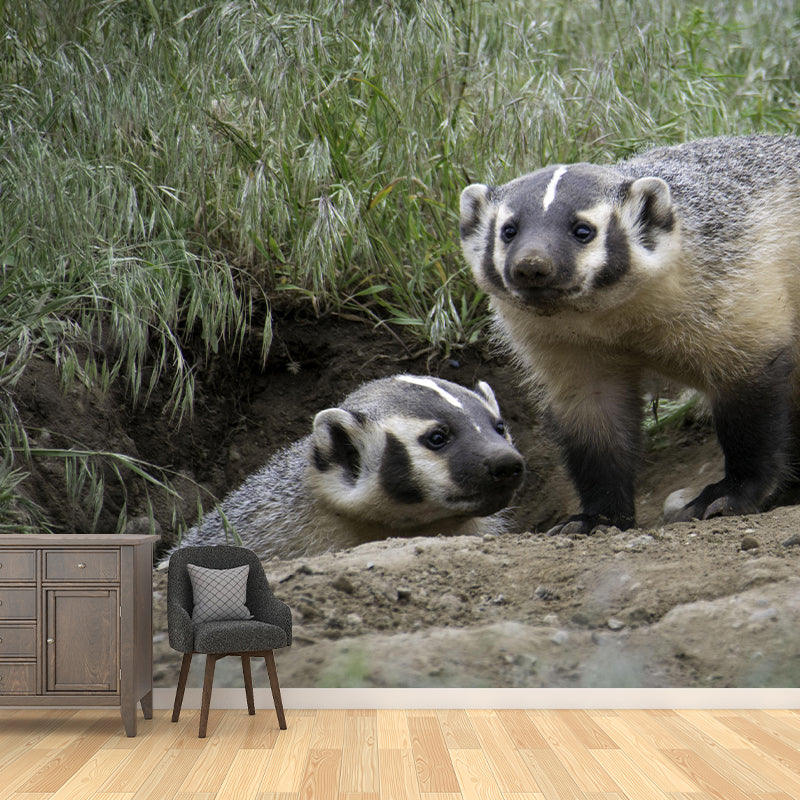 Badger Contemporary Wall Mural Modernist Wall Covering for Bedroom Decor