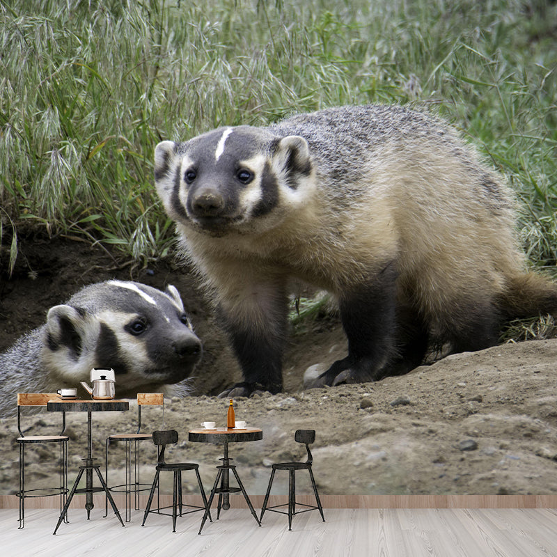 Badger Contemporary Wall Mural Modernist Wall Covering for Bedroom Decor